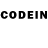 Псилоцибиновые грибы GOLDEN TEACHER gamblingaristo