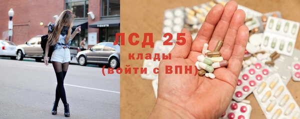 ГАЛЛЮЦИНОГЕННЫЕ ГРИБЫ Гусиноозёрск