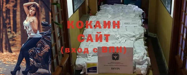 ГАЛЛЮЦИНОГЕННЫЕ ГРИБЫ Гусиноозёрск