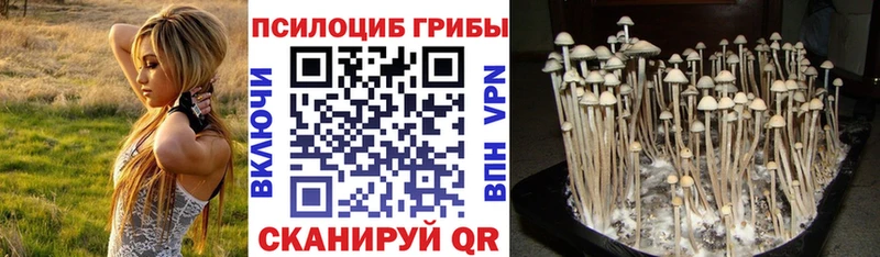 Галлюциногенные грибы Cubensis Лыткарино